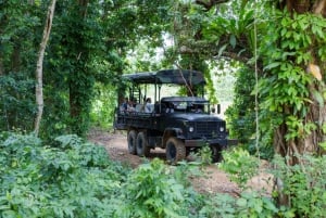 Punta Cana: Aventura en tirolina, telesilla, buggy y caballo