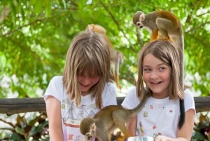 Punta Cana: aventuras en tirolinas y ticket para Monkeyland