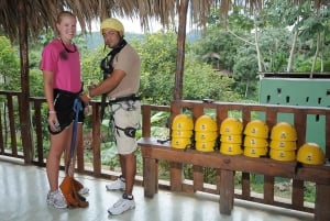 Punta Cana: Ziplines Adventures & Monkeyland Entry