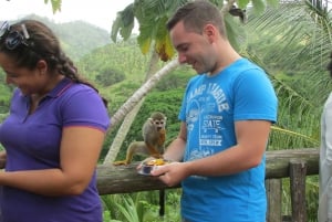 Punta Cana: aventuras en tirolinas y ticket para Monkeyland