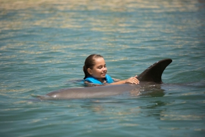 Punta Cancun: Swim with dolphins Splash
