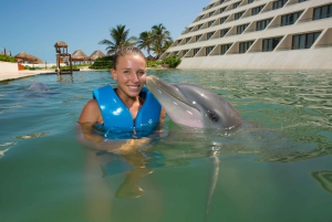 Punta Cancun: Swim with dolphins Splash