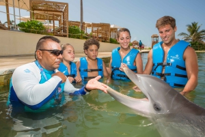 Punta Cancun: Swim with dolphins Splash