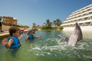 Punta Cancun: Swim with dolphins Splash
