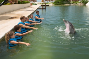 Punta Cancun: Swim with dolphins Splash