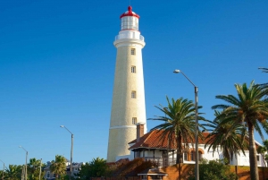 Tour de la ciudad de Punta del Este