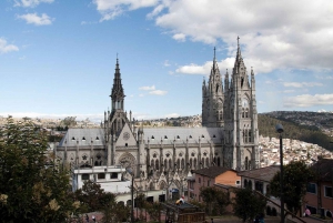 Quito: Old Town Walking Tour with Basilica Church Visit