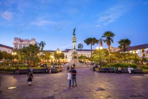 Quito: Old Town Walking Tour with Basilica Church Visit