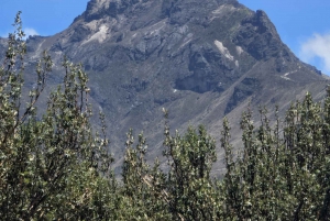 Quito: Teleferico, Old Town, and Intiñan Museum Private Tour