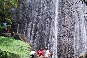 Puerto Rico: Rainforest & old san juan 1 day tour