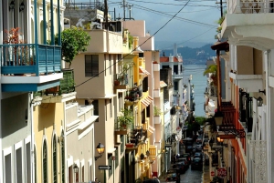 Puerto Rico: Rainforest & old san juan 1 day tour