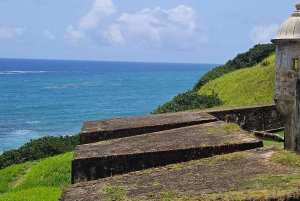 Puerto Rico: Rainforest & old san juan 1 day tour