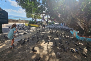 Puerto Rico: Rainforest & old san juan 1 day tour