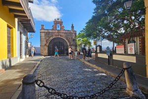 Puerto Rico: Rainforest & old san juan 1 day tour