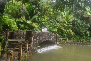 Puerto Rico: Rainforest & old san juan 1 day tour