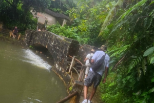 Puerto Rico: Rainforest & old san juan 1 day tour