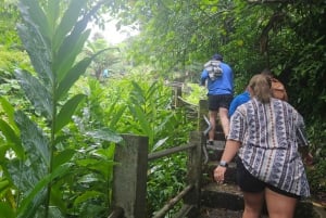 Puerto Rico: Rainforest & old san juan 1 day tour