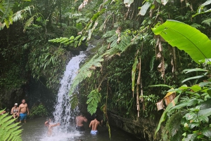 Puerto Rico: Rainforest & old san juan 1 day tour