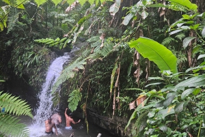 Puerto Rico: Rainforest & old san juan 1 day tour