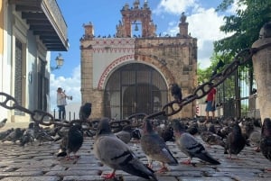 Recorrido guiado por Mi Viejo San Juan en Español