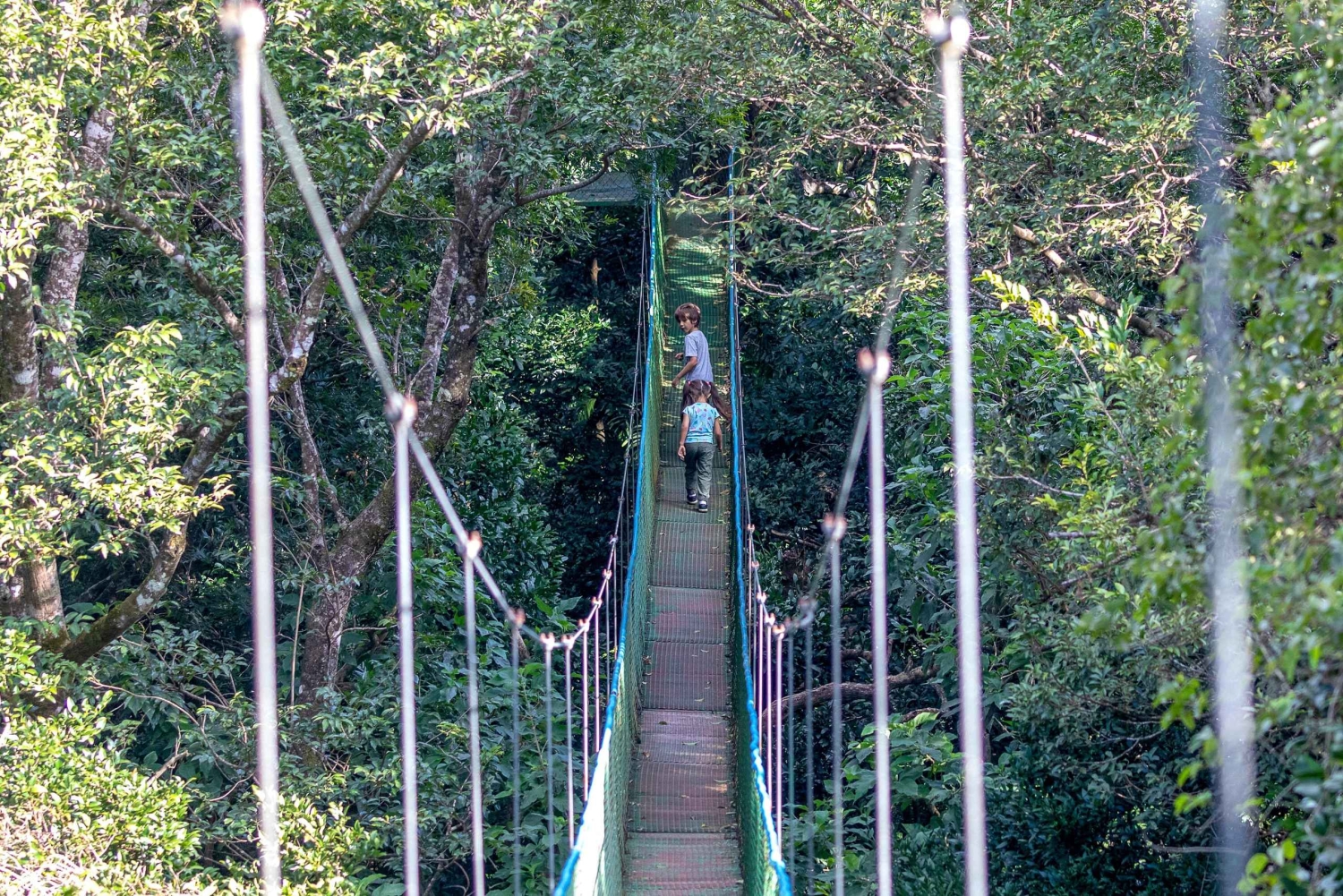 Rincón de la Vieja: Explore the Rainforest Hanging Bridges