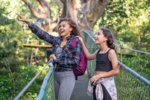 Rincón de la Vieja: Explore the Rainforest Hanging Bridges