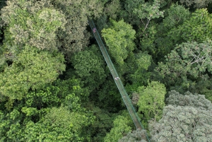 Rincón de la Vieja: Explore the Rainforest Hanging Bridges