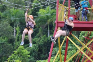 Río Grande: Rainforest Zipline Experience