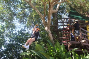 Río Grande: Rainforest Zipline Experience