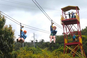 Río Grande: Rainforest Zipline Experience