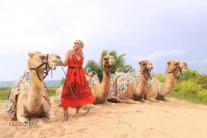 Riviera Maya: Camel Caravan Expedition and Beach Club Access