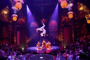 Riviera Maya: Cirque du Soleil JOYÀ Show Ticket