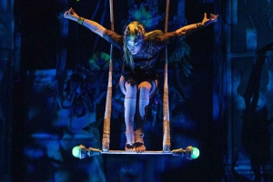 Riviera Maya: Ticket de entrada al espectáculo JOYÀ del Cirque du Soleil