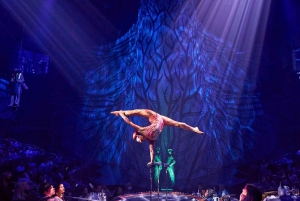 Riviera Maya: Cirque du Soleil JOYÀ Show Ticket