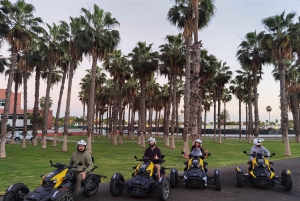 Ryker Moto Tour (buggy / quad for Road): Maspalomas