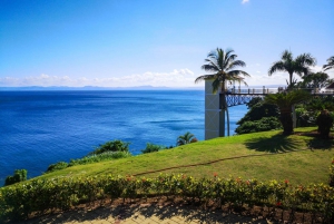 Samana from Punta Cana: Cayo Levantado & El Limon Waterfall