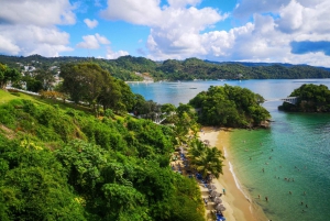 Samaná desde Punta Cana: Cayo Levantado y Cascada El Limón