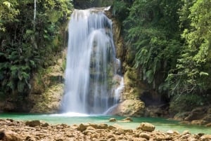 Samaná desde Punta Cana: Cayo Levantado y Cascada El Limón