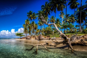 Samaná desde Punta Cana: Cayo Levantado y Cascada El Limón