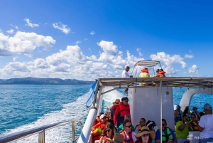 Samana from Punta Cana: Cayo Levantado & El Limon Waterfall