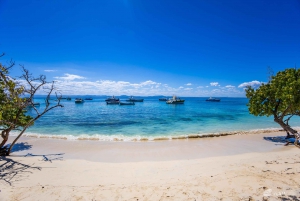 Samaná desde Punta Cana: Cayo Levantado y Cascada El Limón