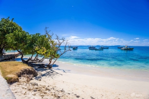 Samana from Punta Cana: Cayo Levantado & El Limon Waterfall