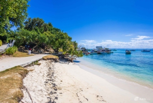 Samana from Punta Cana: Cayo Levantado & El Limon Waterfall