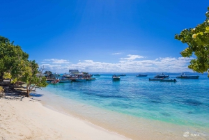 Samaná desde Punta Cana: Cayo Levantado y Cascada El Limón