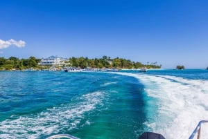 Samaná desde Punta Cana: Cayo Levantado y Cascada El Limón