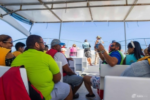 Samana: Avistamiento de ballenas y Cayo Levantado con almuerzo