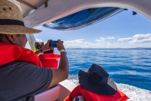 Samana: Avistamiento de ballenas y Cayo Levantado con almuerzo