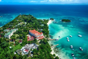 Samana: Avistamiento de ballenas y Cayo Levantado con almuerzo