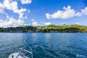 Samana: Avistamiento de ballenas y Cayo Levantado con almuerzo