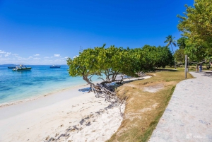 Samana: Avistamiento de ballenas y Cayo Levantado con almuerzo